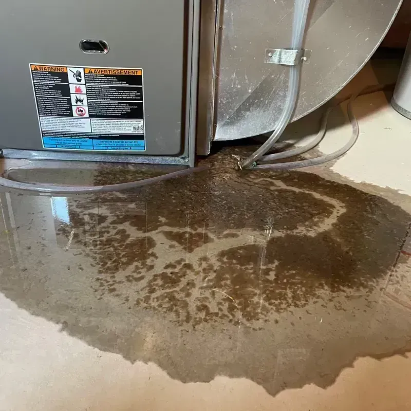 Appliance Leak Cleanup in Advance, MO